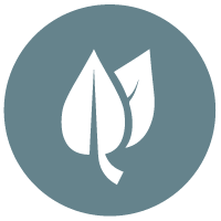 SMLCIcons200